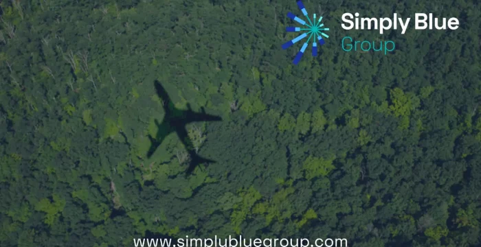 Shadow of a plane flying over a forest